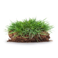 Premium Garden Turf