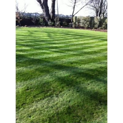 Premium Garden Turf