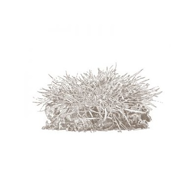 Premium Garden Turf