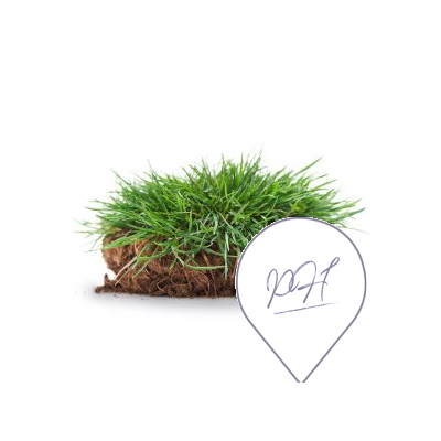 lp_turf